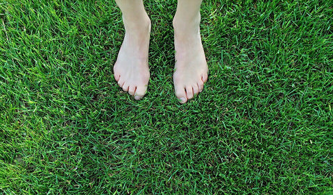 Conecta con la naturaleza y mejora tu salud