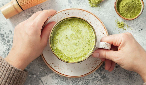 té matcha, todo lo que debes saber - Paleobull