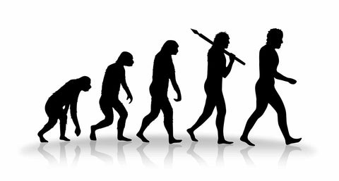 Dieta paleo guía completa