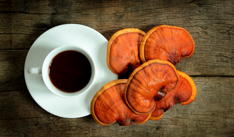 Reishi: el hongo del elixir de la vida