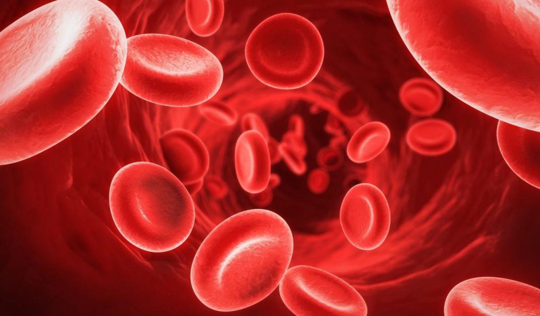 Beneficios de la donación de sangre - Modern Heart and Vascular