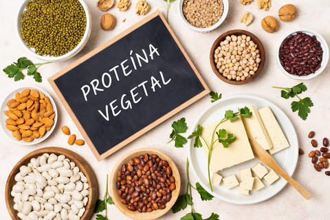 Proteína vegetal