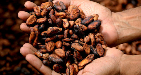 ¿Conoces los beneficios del cacao?