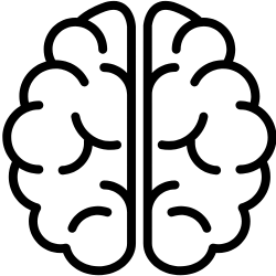 Cerebro, memoria y concentración